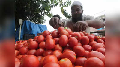 पाकिस्तानमध्ये टोमॅटोची कमतरता; भारतातून तस्करी!