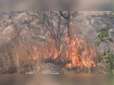 பெரியபுத்தூர் மலையில் காட்டுத்தீ: அரியவகை மரங்கள் தீயில் எரிந்து நாசம்!