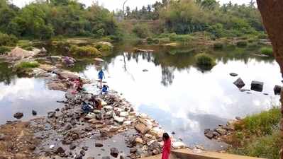 ಬಿಸಿಲಿನ ತಾಪಕ್ಕೆ ಕಾವೇರಿ ಒಡಲು ಬರಿದು