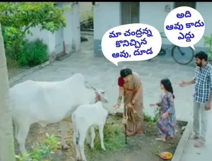 TDP 2019 Election Ads