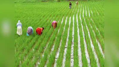 पीएम किसान सम्मान निधि: 6,000 की पहली किस्त में मिले 2,000 रुपये कहां खर्च किए किसान