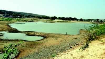 ಕೆರೆ ನೀರು ಖಾಲಿ, ತುಂಬಿದ ಜಾಲಿ