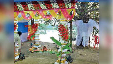 पश्चिम बंगाल: शहनाई और मंत्रोच्‍चार के बीच हुई दो पेड़ों की अनोखी शादी