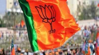 BJP Candidates 1st List: బీజేపీ ఎంపీ అభ్యర్థుల తొలి జాబితా.. ఎవరు ఎక్కడి నుంచి పోటీ?