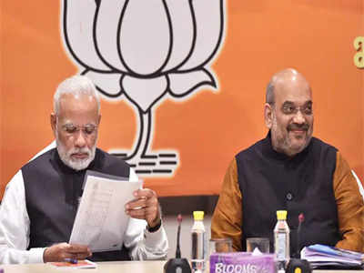 BJP : भाजपच्या पहिल्या यादीत ५ मुस्लिमांना तिकीट