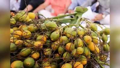 ಅಡಕೆ ಮಾರುಕಟ್ಟೆಯಲ್ಲಿ ನಿರಂತರ ಸ್ಥಿರತೆ