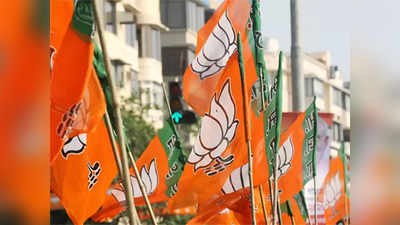 BJP Candidates: भाजपने चार खासदारांचे तिकीट कापले