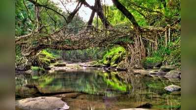 ಸುತ್ತಮುತ್ತ