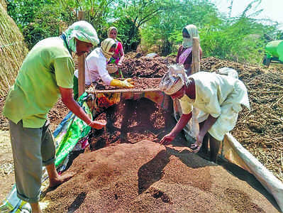 ಕಾಯಕ ನಿಷ್ಠೆಗೆ ಕೈತುಂಬ ಫಸಲು

ಈಶ್ವರ ಬೆಟಗೇರಿ