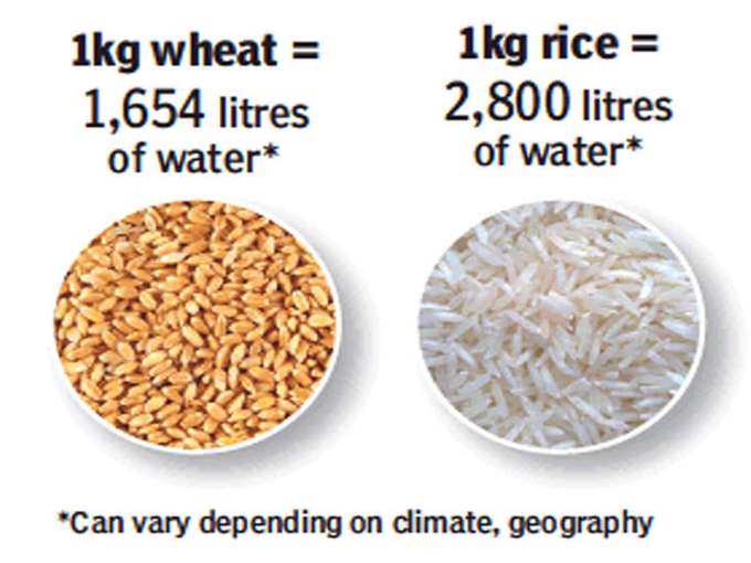 गेहूं, चावल की वजह से ज्यादा इस्तेमाल