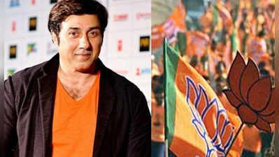 sunny deol: सनी देओल भाजपकडून निवडणुकीच्या रिंगणात?