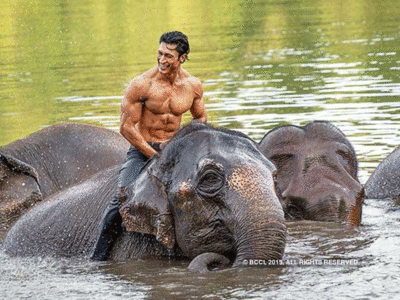 बड़ा प्यारा है Junglee का नया गाना दोस्ती, याद आ जाएंगे बचपन के दिन