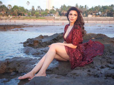 देखें, नेट आउटफिट में ऐक्ट्रेस Shama Sikander का दिलकश अंदाज