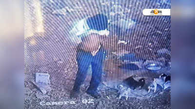 রোজ রাস্তার সারমেয়-শাবকদের উপর যৌন অত্যাচার! প্রমাণ CCTV ফুটেজে