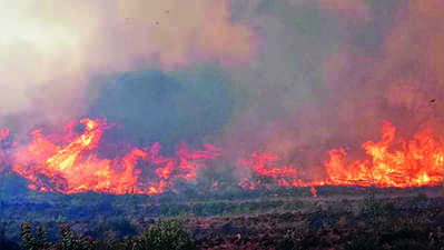 ಕೌದಳ್ಳಿ, ಗೋಪಿನಾಥಂನಲ್ಲಿ  ಕಾಡ್ಗಿಚ್ಚು