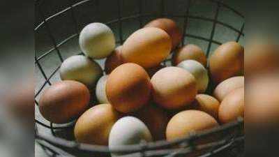 अंडों में मिलावट का शक, गोदाम पहुंची टीम, लिए सैंपल
