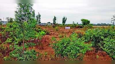 ಬೇಸಿಗೆಯ ಧಗೆ ತಣಿಸಿಕೊಳ್ಳಲು ಪರದಾಡುತ್ತಿರುವ ಜನರು