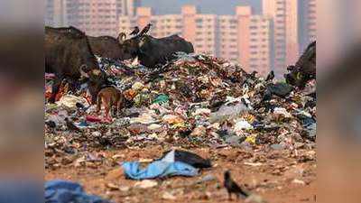 चुनावी सीजन में शहर की सेहत बिगाड़ रहा कचरा