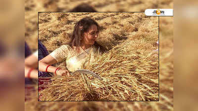 কাস্তে হাতে ধান কেটেই নির্বাচনী প্রচার শুরু ড্রিমগার্লের