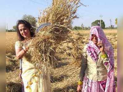 ಕಾರಿನಿಂದ ಇಳಿದು ಗೋಧಿ ಹೊಲಕ್ಕೆ ನುಗ್ಗಿದ ಹೇಮಾ ಮಾಲಿನಿ