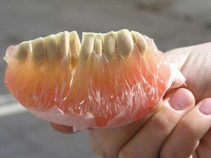 दांतों वाला संतरा...
