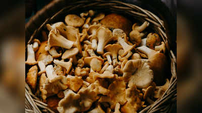 Mushroom benefits മറവി തടയാൻ മഷ്റൂം ശീലമാക്കൂ