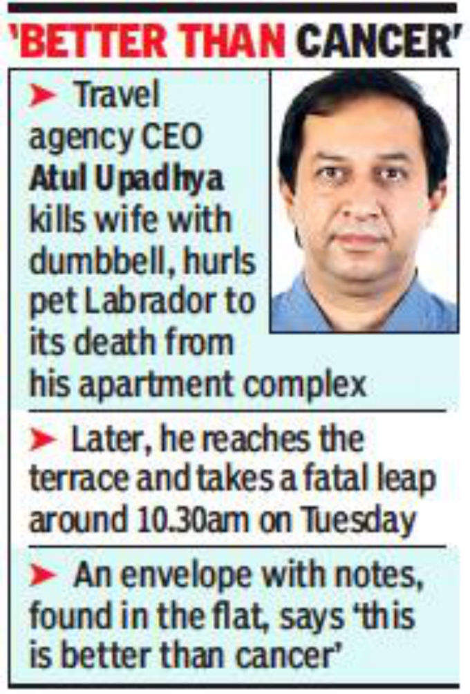 businessman kills wife dog, jumps to death