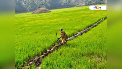 ঘাটতি বর্ষার পূর্বাভাসে, শঙ্কা কৃষি-পানীয় জলে