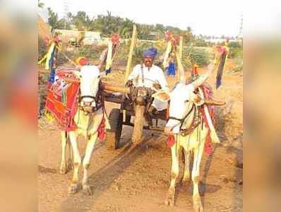 ಭೂತಾಯಿಗೆ ರೈತರಿಂದ ಪೂಜೆ