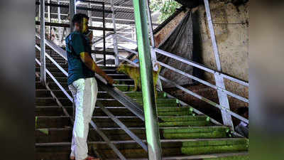 रेलवे बंद करने जा रही है मुंबई के 3 स्टेशनों की सीढ़ियां