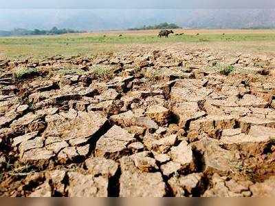 സംസ്ഥാനത്ത് കനത്ത ചൂട്: എൽനിനോ ഉണ്ടാകാൻ സാധ്യത