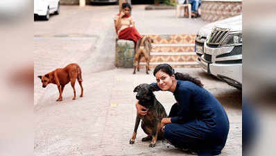 मुंबई: हाउसिंग सोसायटी ने आवारा कुत्तों को खाना खिलाने पर लगाया 3.5 लाख रुपये जुर्माना