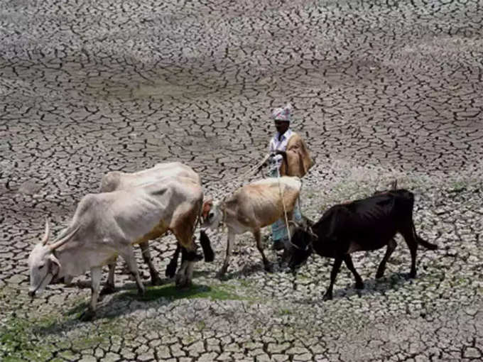 सांकेतिक तस्‍वीर