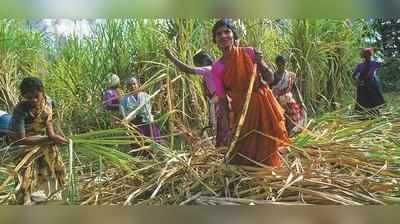 ಜಠರದ ಅಗ್ನಿಗಾಗಿ ಗರ್ಭಗುಡಿಯೇ ಭಗ್ನ