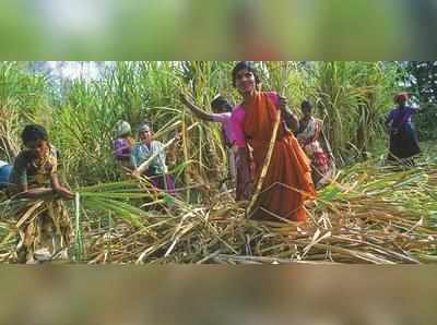 ಜಠರದ ಅಗ್ನಿಗಾಗಿ ಗರ್ಭಗುಡಿಯೇ ಭಗ್ನ