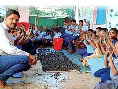 सीड्स बॉल्सट राखणार पर्यावरणाचा समतोल