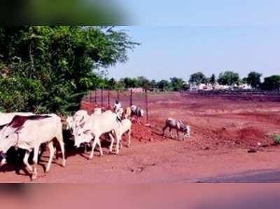 ನಮ್ಮ ಊರಿಗೂ ಯಾರೂ ಬಂದಿಲ್ಲ!