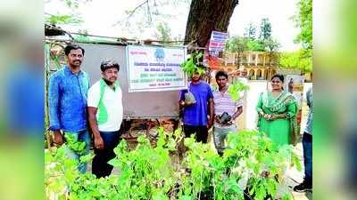 ಮೊದಲ ಮತದಾರರಿಗೆ ಹೊಂಗೆ ಸಸಿ ಉಡುಗೊರೆ