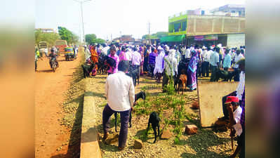 ರಸ್ತೆಯಲ್ಲೇ ಕುರಿ ಸಂತೆ, ಓಡಾಟಕ್ಕೆ ಕಂಟಕ !