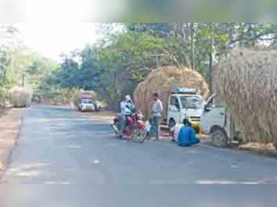 ಯಲ್ಲಾಪುರ ತಾಲೂಕಿನಲ್ಲಿ ಭತ್ತ ಬೆಳೆಯುವವರ ಸಂಖ್ಯೆ ಇಳಿಮುಖ