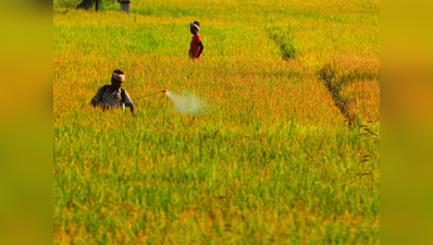 तेलंगानाः बेमौसम बारिश से तबाह हुई 55 हजार एकड़ फसल, अभी और बढ़ेंगे नुकसान के आंकड़े!
