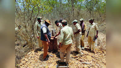 ಅಭಯಾರಣ್ಯಕ್ಕೆ ಕೊಡಲಿ: ಮೂವರ ಸಸ್ಪೆಂಡ್‌