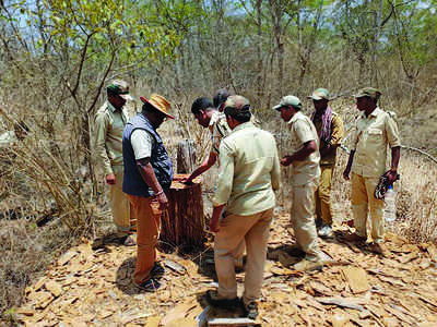 ಅಭಯಾರಣ್ಯಕ್ಕೆ ಕೊಡಲಿ: ಮೂವರ ಸಸ್ಪೆಂಡ್‌