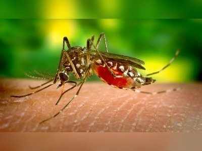 World Malaria Day: மலேரியாவைத் தடுக்க ஏற்ற வழிகள்