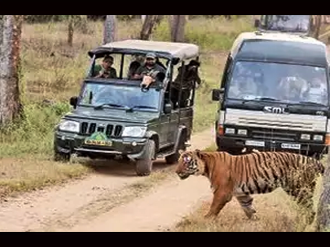 कहां है सरिस्का नैशनल पार्क