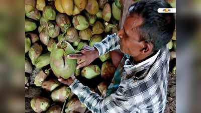 হাত দিলেই ছ্যাঁকা, প্রার্থী ডাব খাবেন কী