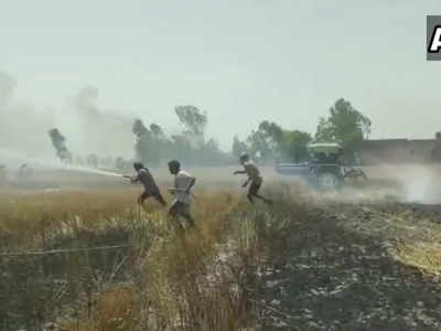 पंजाब: जलकर खाक हो गई 1700 एकड़ गेहूं की फसल