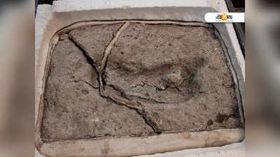 প্রাচীনতম মানব জীবাশ্মের হদিস মিলল দক্ষিণ চিলে-তে
