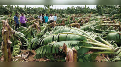 ಮಳೆ, ಗಾಳಿ ಅಬ್ಬರ: ಹಾನಿ ಪರಿಶೀಲನೆ