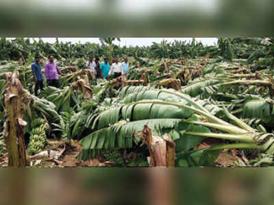 ಮಳೆ, ಗಾಳಿ ಅಬ್ಬರ: ಹಾನಿ ಪರಿಶೀಲನೆ